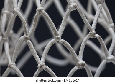 Basketball Net