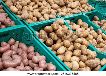 Baskets with different varieties of potatoes in boxes on the shelf of the supermarket, vegetable market.