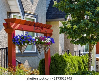 Baskets Of Hanging Colorful Flowers On Entrance Gate Of House. Summer Flowers In Ornamental Plant. Street Photo, Nobody, Selective Focus