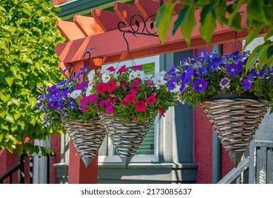 Baskets Of Hanging Colorful Flowers On Entrance Gate Of House. Summer Flowers In Ornamental Plant. Street Photo, Nobody, Selective Focus