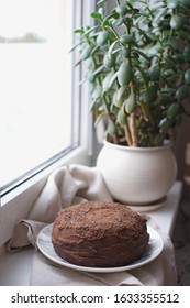 Basque Beret Chocolate Cake Cooked At Home