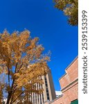 The Basque Block in downtown Boise, Idaho in the fall