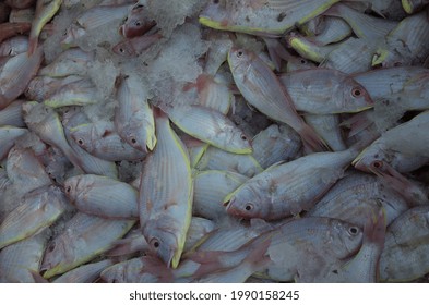 Basra, Iraq - June 11, 2021: Photo Of The Fish Market In Basra City