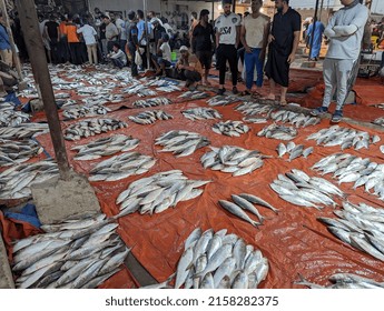 Basra, Iraq - May 12, 2022: Photo Of   Fishes In The Traditional Fish Market In Basra City 