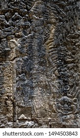 A Bas-relief On A Stela 20 In The Ancient Mayan City Of Tikal, Guatemala.