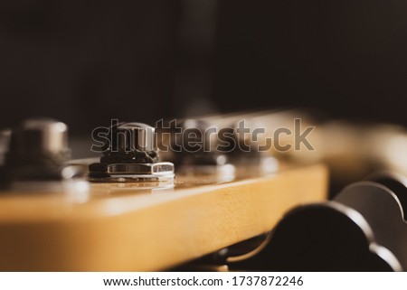 Bass Guitar Vintage Strings Macro