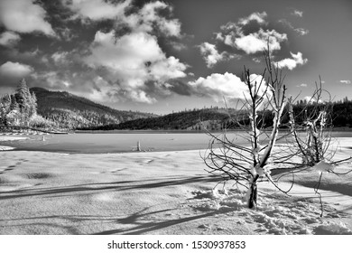 Bass Lake, Madera County, California