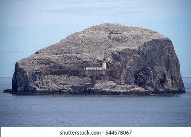 Bass Rock, East Lothian, Scotland