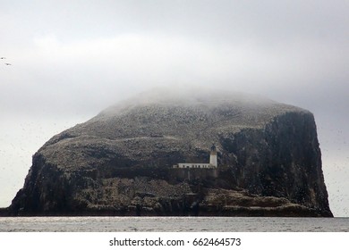 Bass Rock, Scotland