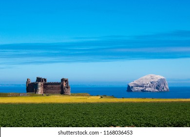 Bass Rock Scotland United Kingdom Europe