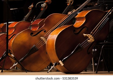 Basses Standing On The Stage In A Symphony Orchestra 