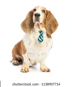 Hound Tie Clip Dog Tie Clasp Canine Tie Bar Dachshund Basset Hound Tie Bar 