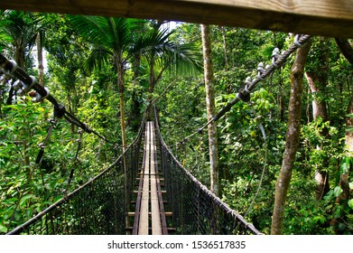 BASSE-TERRE/GUADELOUPE - JANUARY 07, 2019: Suspended Bridges At Top Of The Trees In Parc Des Mamelles, Guadeloupe Zoo In The Middle Of The Rainforest On Chemin De La Retraite, French Caribbean.