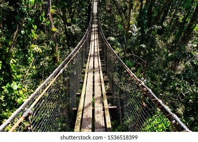 BASSE-TERRE/GUADELOUPE - JANUARY 07, 2019: Suspended Bridges At Top Of The Trees In Parc Des Mamelles, Guadeloupe Zoo In The Middle Of The Rainforest On Chemin De La Retraite, French Caribbean.