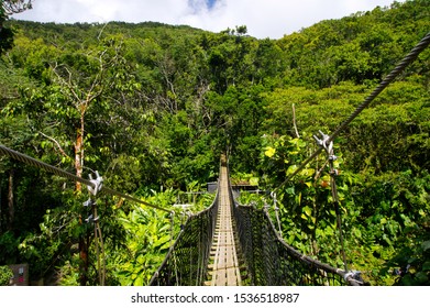 BASSE-TERRE/GUADELOUPE - JANUARY 07, 2019: Suspended Bridges At Top Of The Trees In Parc Des Mamelles, Guadeloupe Zoo In The Middle Of The Rainforest On Chemin De La Retraite. French Caribbean.