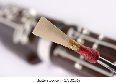 Bassoon Detail, Double Reed Mouthpiece, Studio Shot