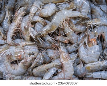 bassura, east jakarta, indonesia, july 19th 2020 : a fresh shrimp at display case of fresh food section at modern market  - Shutterstock ID 2364093307