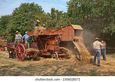 Bastia, Ravenna, Italy - August 25, 2019:  farmers re-enacting the old farm works with an ancient threshing machine and a horse-drawn cart loaded with ears of corn at the country fair Wheat Festival
