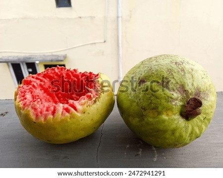 Similar – Image, Stock Photo Tree breaks resistance