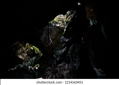 Bat Cave Wall In Bukit Lawang, Indonesia.