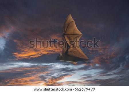 Bat flying at twilight