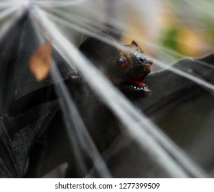 A Bat Hidden By Fake Spider Web In NYC, Halloween. 