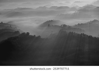 Bat Up Hill has a foggy morning - Powered by Shutterstock