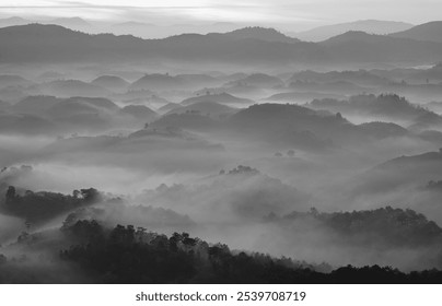 Bat Up Hill has a foggy morning - Powered by Shutterstock