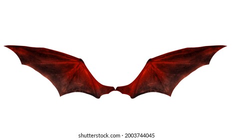bat wings isolated on white.