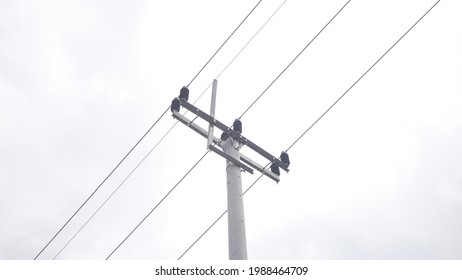 BATAM, INDONESIA, April 1, 2020 - Electricity Pole