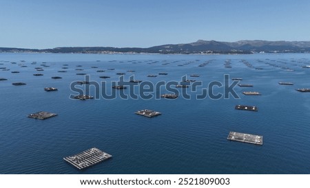 bateas en ria de arousa