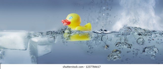 Bath duck in water - solid - liquid - gaseous