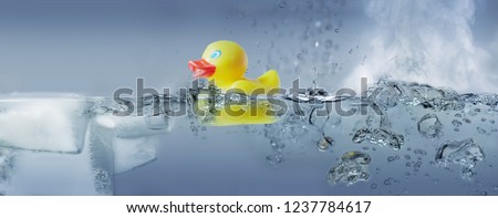 Bath duck in water - solid - liquid - gaseous