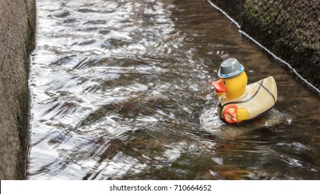 Bath ducks in Freiburg Bachle - Selective focus