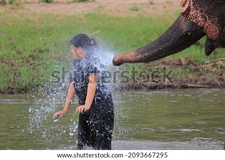 Bathing elephant in the river in Thailand