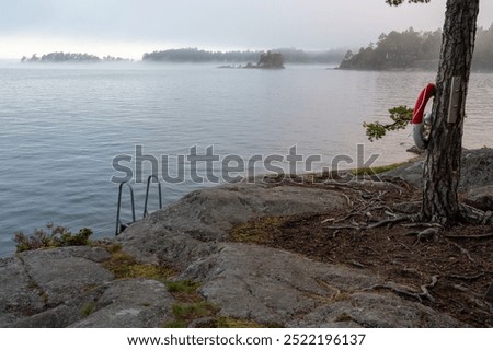 Similar – Image, Stock Photo Bathing ladder on a rock