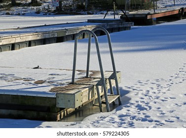 bathing ladder in winter