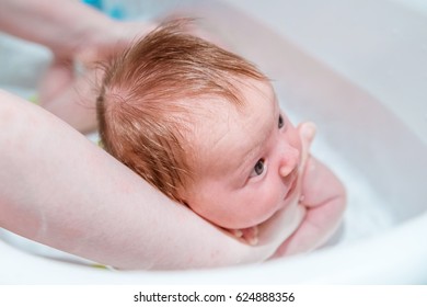 Bathing A Newborn Baby.