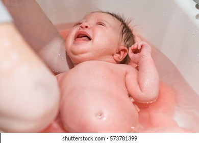 Bathing A Newborn Baby In A Baby Bath, The First Bath.