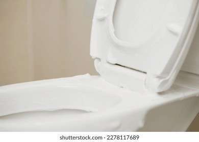 Bathroom cleaner with sanitary care - Shutterstock ID 2278117689