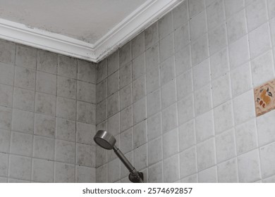 Bathroom corner with mold and mildew on tiles and ceiling, showing signs of moisture and neglect. Ideal for concepts of cleaning, maintenance, or hygiene challenges.