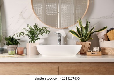 Bathroom interior with sink, beautiful green houseplants and mirror