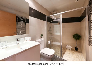 Bathroom with large shower cabin with decorative artificial plant inside and mirror attached to the wall - Shutterstock ID 2231444393