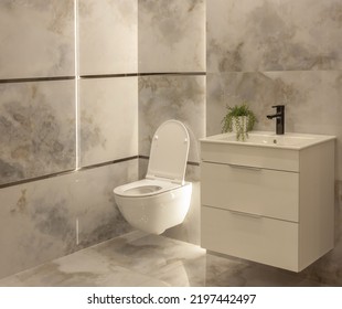 The Bathroom Overlooks An Open Toilet, Tap With A Sink, Cupboard, Decorative Plant And Tiles On The Wall.