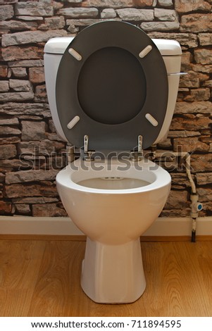 Bathroom toilet with seat left up.
