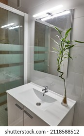 the bathroom with its toilet, shower, sink... of a house in Spain