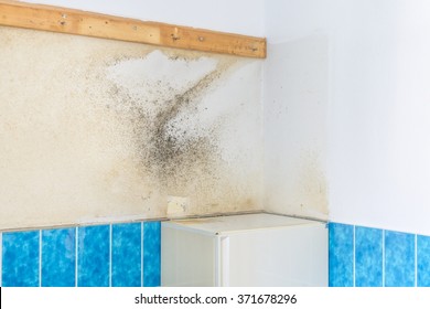 Bathroom Mould Stock Photos Images Photography Shutterstock