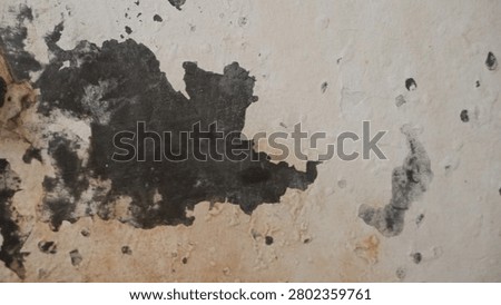 the bathroom wall whose paint has peeled off