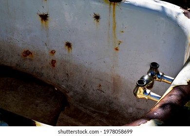 A Bathtub, Dirty, Found In The Woods. Strange Background For Edgy People. 