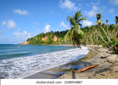 Batibou Beach, Dominica, Northern America.